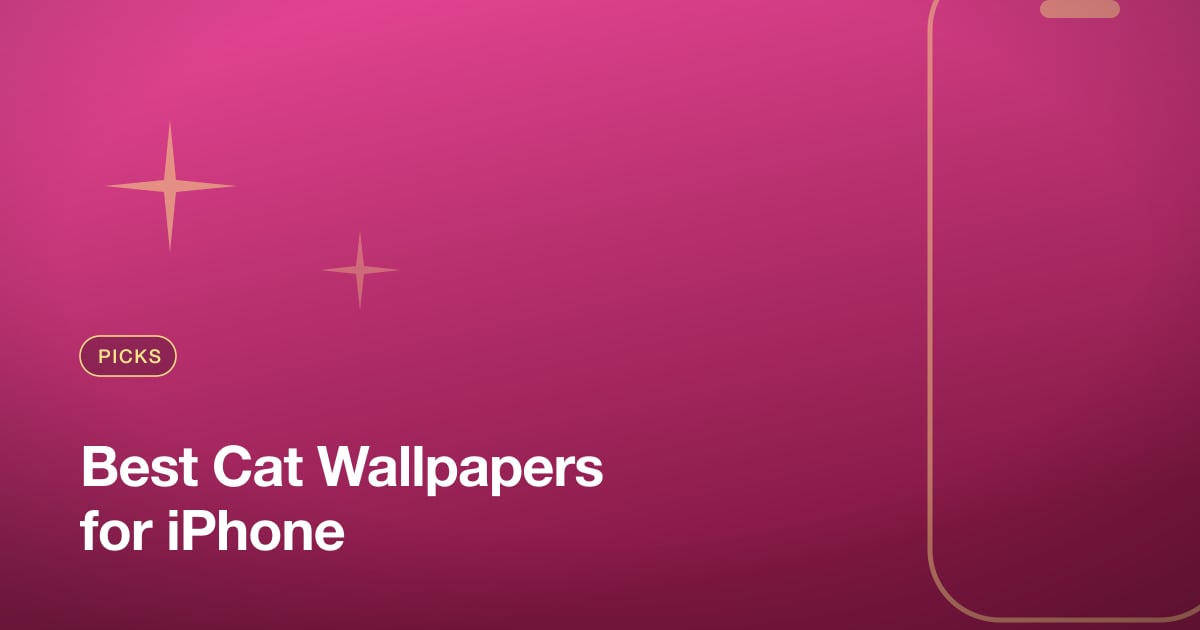 Best Cat Wallpapers for iPhone