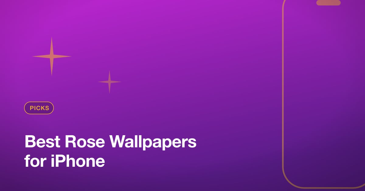 Best Rose Wallpapers for iPhone